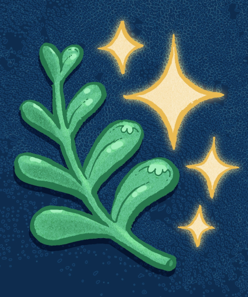 An illustration of a green plant with 8 leaves. To right of the plant are four yellow stars. The plant and stars are on a textured background of deep blue.