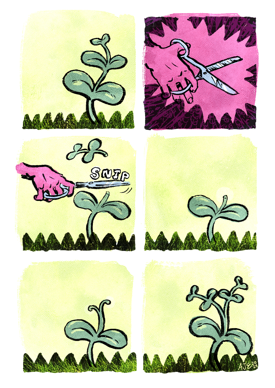 Taylor and Friends page. Taylor walks along a trail in the woods. They think to themself “Dang it. I lost track of Spruce. She shouldn’t be too far ahead.” Taylor pushes a leafy tree branch to the side, peering ahead. They see their friend Spruce sitting on a large, flat rock. They trail they’re following wraps around the boulder and continues on. 