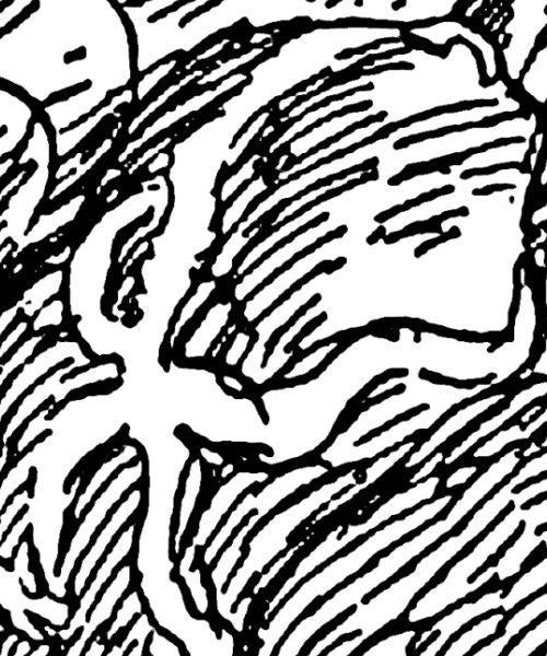 A digital black line drawing of a starfish splayed over a rock.